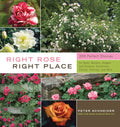 Right Rose, Right Place - MPHOnline.com