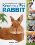 An Absolute Beginner's Guide to Keeping a Pet Rabbit - MPHOnline.com