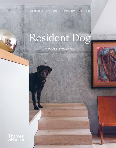 Resident Dog: Incredible Homes and the Dogs That Live There - MPHOnline.com