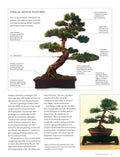 Anness: Bonsai Handbook - MPHOnline.com