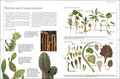 Anness: Complete Guide to Growing Cacti & Succulents - MPHOnline.com