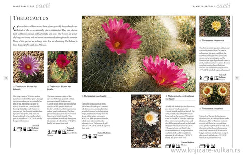 Anness: Complete Guide to Growing Cacti & Succulents - MPHOnline.com