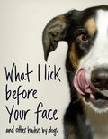 What I Lick Before Your Face… and Other Haikus By Dogs - MPHOnline.com