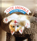 Cute Animals for Hard Times - MPHOnline.com