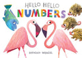 Hello Hello Numbers (BB) - MPHOnline.com