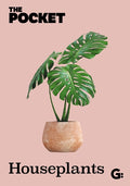 The Pocket Houseplants - MPHOnline.com