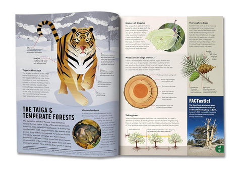 Britannica All New Children's Encyclopedia (2025 Updated Edition) - chapter on the taiga and temperate forests - MPHOnline.com
