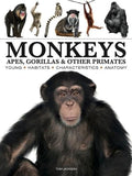 Monkeys, Apes, Gorillas & Other Primates - MPHOnline.com