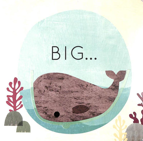 Big and Little: A Book of Animal Opposites - MPHOnline.com