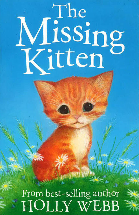 The Missing Kitten - MPHOnline.com