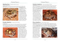 Australian Geographic A Naturalist's Guide to the Frogs of Australia 2 edition - MPHOnline.com