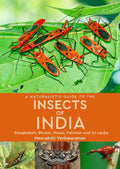 A Naturalist's Guide to the Insects of India - MPHOnline.com