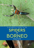 NG Spiders of Borneo - MPHOnline.com