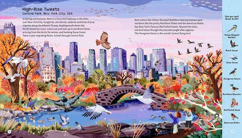 A look inside Cities Going Wild … to Save the Planet (chapter on High-Rise Tweets) - Otter-Barry Books Limited - MPHOnline.com