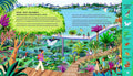 Another look inside Cities Going Wild … to Save the Planet (chapter on Wild, Wet Wonders) - Otter-Barry Books Limited - MPHOnline.com