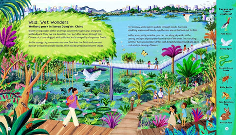 Another look inside Cities Going Wild … to Save the Planet (chapter on Wild, Wet Wonders) - Otter-Barry Books Limited - MPHOnline.com