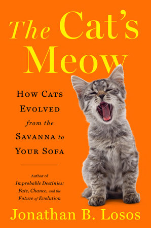 The Cat's Meow: How Cats Evolved from the Savanna to Your Sofa - MPHOnline.com