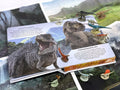 My Busy Books: Universal Jurassic World - MPHOnline.com