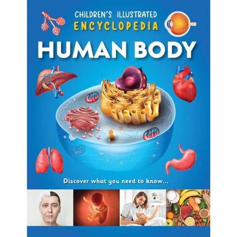 Children's Illustrated Encyclopedia Human Body - MPHOnline.com