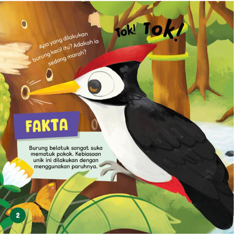 Tok ... Tok ... Belatuk Mengetuk - MPHOnline.com