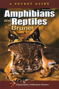 A POCKET GUIDE:AMPHIBIANS & REPTILES OF BRUNEI - MPHOnline.com
