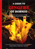 A Guide to Gingers of Borneo - Natural History Publications (Borneo) - MPHOnline.com