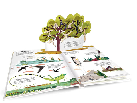 A look inside Ultimate Spotlight: Extraordinary Animals (pop-up page) - Twirl - MPHOnline.com