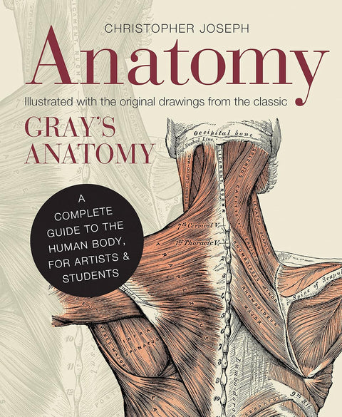 Anatomy : A Complete Guide To The Human Body, For Artists & Students - MPHOnline.com