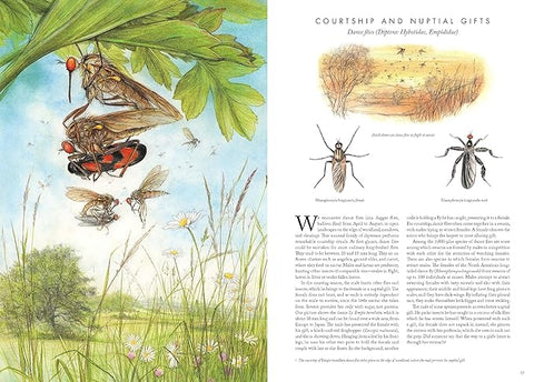 Insectopia: The Wonderful World of Insects - MPHOnline.com