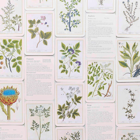 Healing Plants - A Botanical Card Deck 50 botanical cards - MPHOnline.com