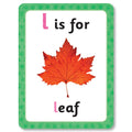 Get Set Go Flashcards: ABC - MPHOnline.com