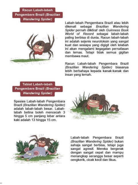 The Insects Academy: Ancaman Makhluk Tanpa Tulang - PTS Junior - MPHOnline.com