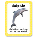 Get Set Go Flashcards: Animals - MPHOnline.com