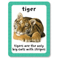 Get Set Go Flashcards: Animals - MPHOnline.com