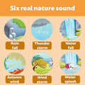 Sound Book - I Explore Nature - MPHOnline.com