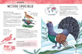 Atlas Of Biodiversity: Curious And Unusual Animals - MPHOnline.com