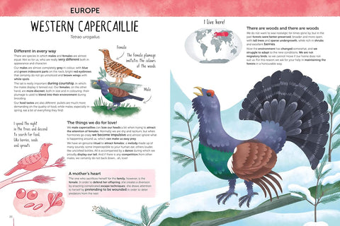 Atlas Of Biodiversity: Curious And Unusual Animals - MPHOnline.com