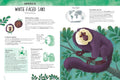 Atlas Of Biodiversity: Curious And Unusual Animals - MPHOnline.com