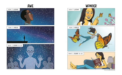 Atlas of the Heart: Mapping Meaningful Connection and the Language of Human Experience - MPHOnline.com