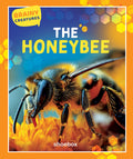 Honey Bee (Brainy Creatures) - MPHOnline.com