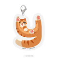 CB-Y01 Comeow Cat-Y Icon - MPHOnline.com