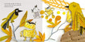 Colour Monster - MPHOnline.com