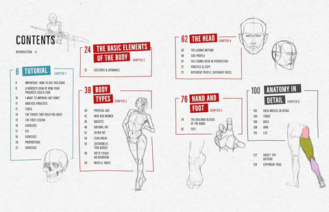 Draw Like a Mangaka: Anatomy: A Comprehensive Anatomical Reference - Master Anatomy, Figure Drawing and Poses - MPHOnline.com