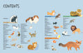 Drawing Class: Cats at Home and in the Wild - MPHOnline.com