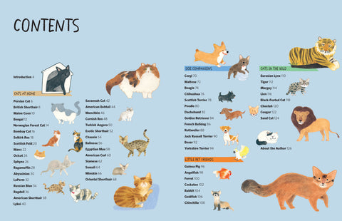 Drawing Class: Cats at Home and in the Wild - MPHOnline.com