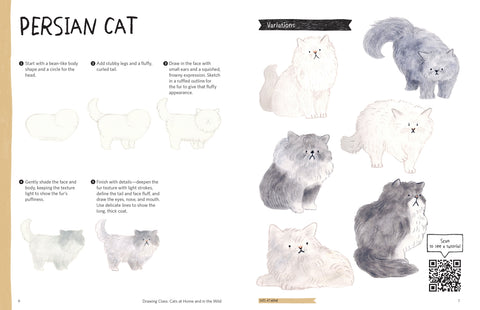 Drawing Class: Cats at Home and in the Wild - MPHOnline.com