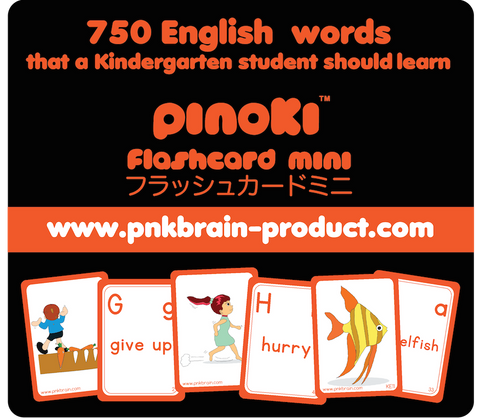 Pinoki Flashcard Mini-750 English Words Kindergarten (FMKE750) - MPHOnline.com