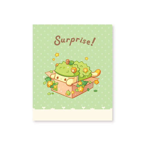 Greeting Card GC911 Surprise!