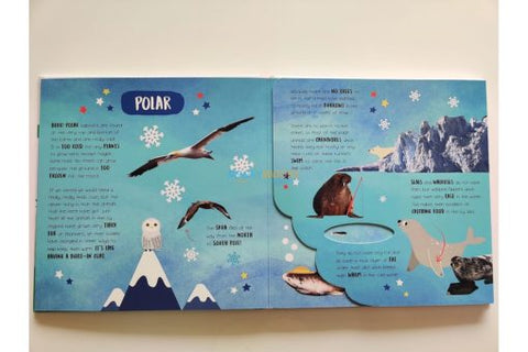 Little Wonders Multi-Flap Books- Habitats - MPHOnline.com