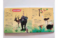 Little Wonders Multi-Flap Books- Habitats - MPHOnline.com